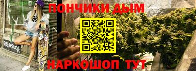spice Кингисепп