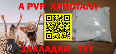 spice Кингисепп