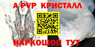 spice Кингисепп