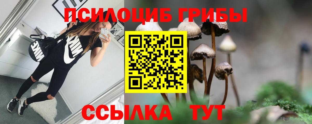 Псилоцибиновые грибы GOLDEN TEACHER Костомукша